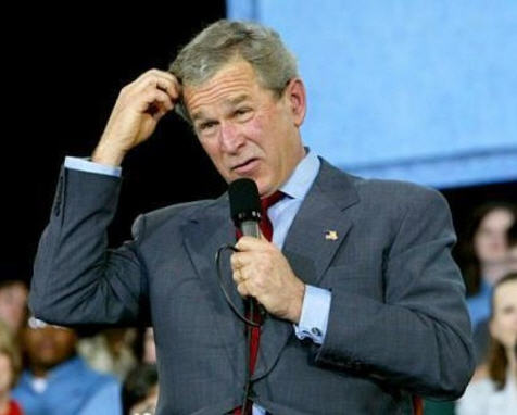 bush56 bush56