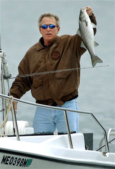 bush_fish_20090120 bush_fish_20090120