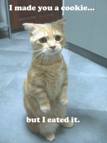 cookie