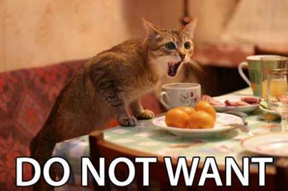 do_not_want_cat