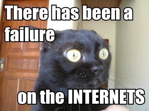 lolcat-41008000x0500x375