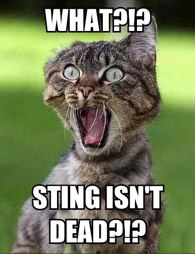 lolcat2