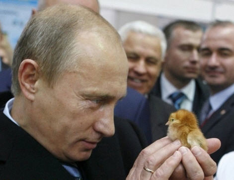 putin998 putin998