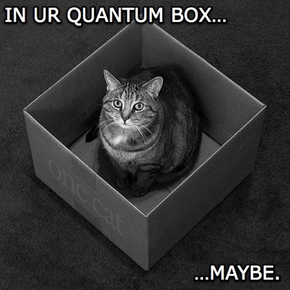 schrodinger_s-lolcat