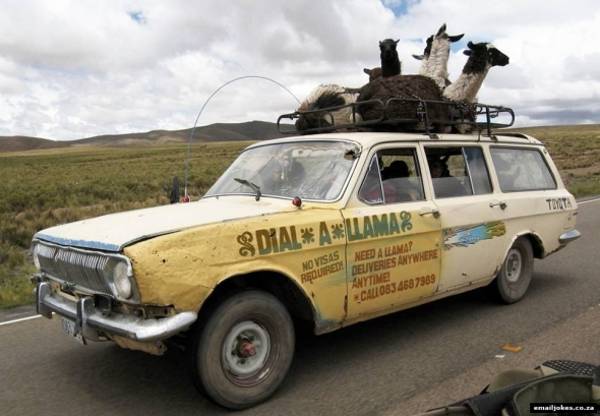 small_dial-a-llama small_dial-a-llama