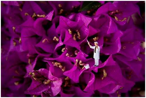 tiny-plastic-people-12 tiny-plastic-people-12